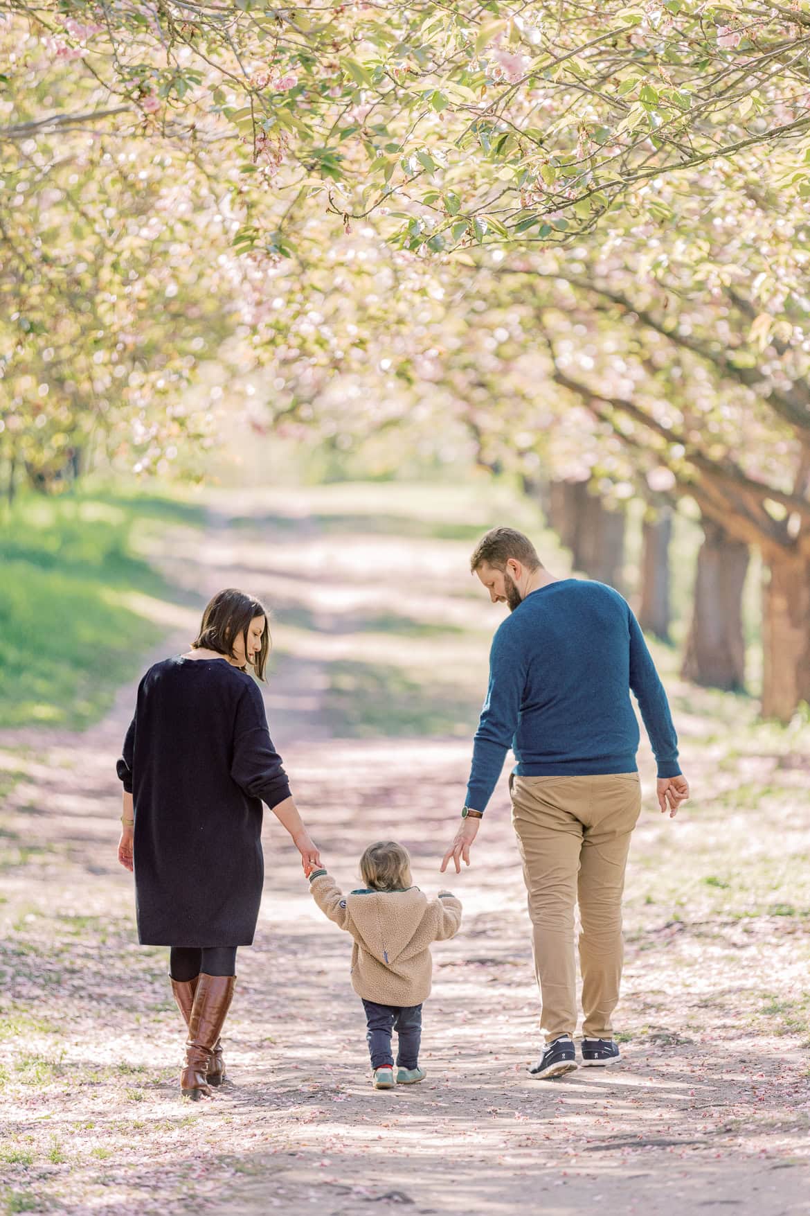 Kirschblüten Mini Sessions