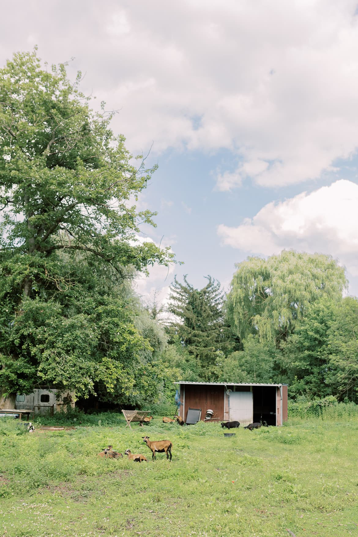 Hochzeit auf Burg Storkow mit freier Trauung im elterlichen Vierseithof