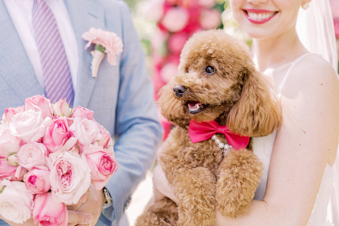 Traum Hochzeit in Pink im Schlosshotel Patrick Hellmann Berlin Grunewald