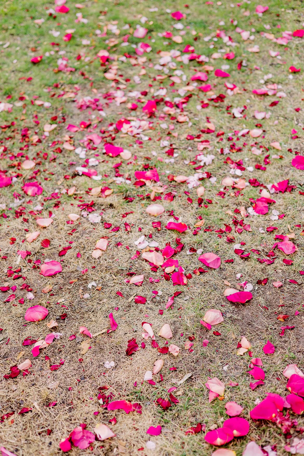 Traum Hochzeit in Pink im Schlosshotel Patrick Hellmann Berlin Grunewald