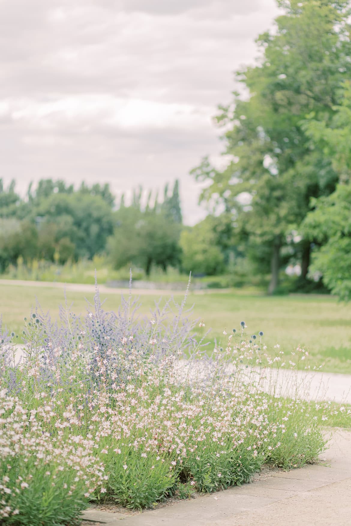 Portrait Session im Rosengarten Treptower Park