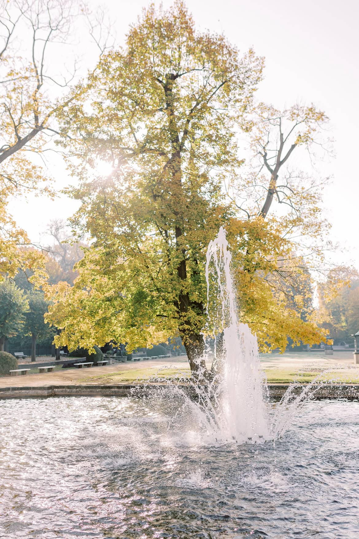 Herbst Hochzeit mit Sonne im Schloss Friedrichsfelde, Berlin